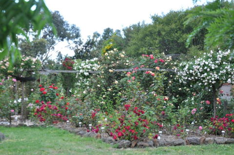 Fairy Wren Cottage Country To Coast Retreat - Tourism Adelaide 6