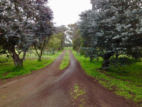 Fairy Wren Cottage Country To Coast Retreat - Tourism Adelaide 4