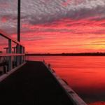 Fairy Wren Cottage Country To Coast Retreat - Tourism Adelaide 0