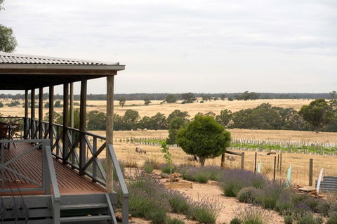 Gilgraves Vineyard Farmstay - Tourism Adelaide 2
