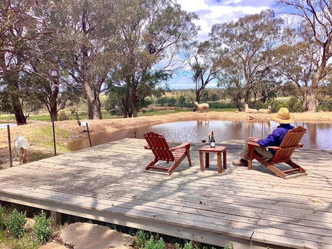 Gilgraves Vineyard Farmstay - Tourism Adelaide 6