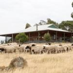 Gilgraves Vineyard Farmstay - Tourism Adelaide 0
