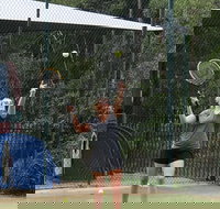 Blackwattle at Barrington Tops - Tourism Adelaide