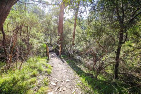 Northern Exposure - Tourism Adelaide 7