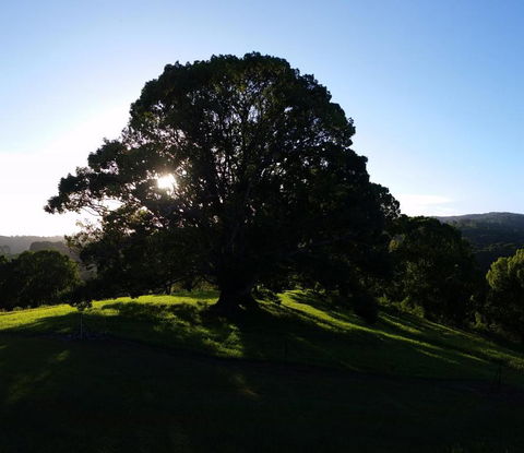 Valleydale Cottage - Tourism Adelaide 1