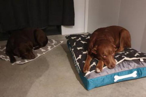 Hoof & Hound Country Escape - Tourism Adelaide 2