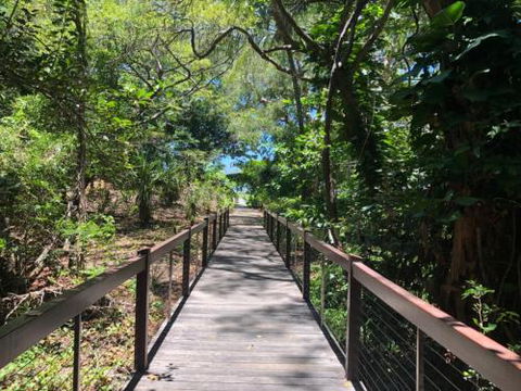 LANDSCAPE At PALM COVE - Tourism Adelaide 1