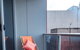 Paradiso On Bent Netflix Wifi City Life - thumb 2