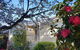 Alkira - thumb 1