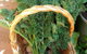 Appin Homestay B & B - thumb 4