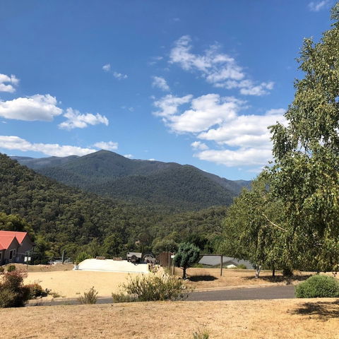 Alpine Stag Lodge House - Tourism Adelaide 5