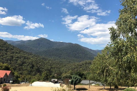 Alpine Stag Lodge Unit 2 - Tourism Adelaide 7