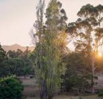 Karribank  the Karri on Bar - Tourism Adelaide