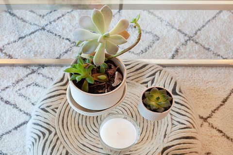 Urban Rest - Short Lane - Tourism Adelaide 1