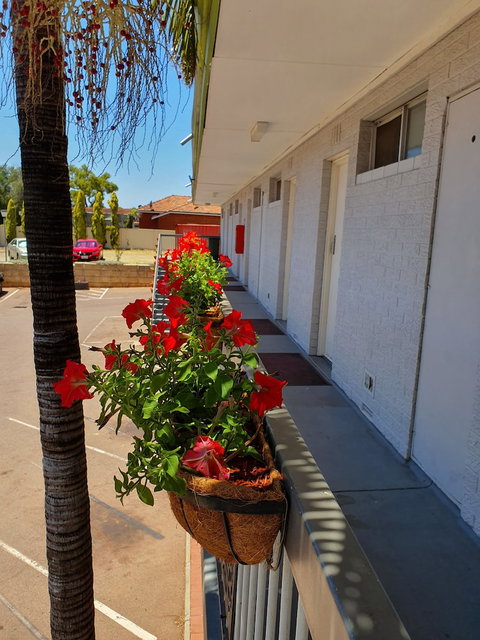 Toorak Lodge - Tourism Adelaide 4