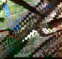 Bright Highland Valley Cottages - Tourism Adelaide