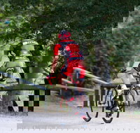 NRMA Bright Holiday Park - Tourism Adelaide