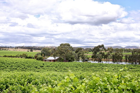 Stonewell Cottages & Vineyards - Tourism Adelaide 6
