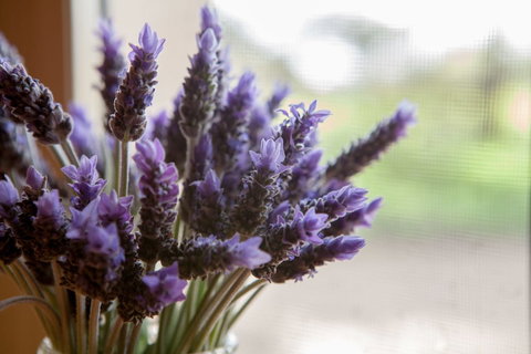 Stonewell Cottages & Vineyards - Tourism Adelaide 3