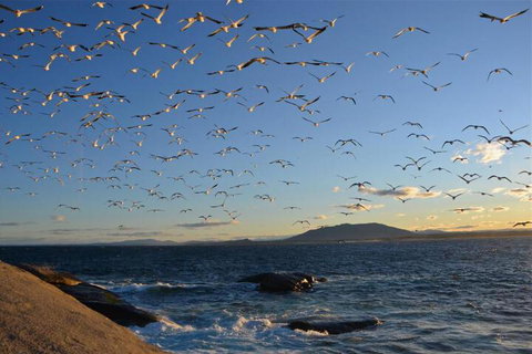Narooma Motel - Tourism Adelaide 3