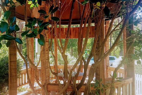 Adamsons Riverside Accommodation - Tourism Adelaide 1