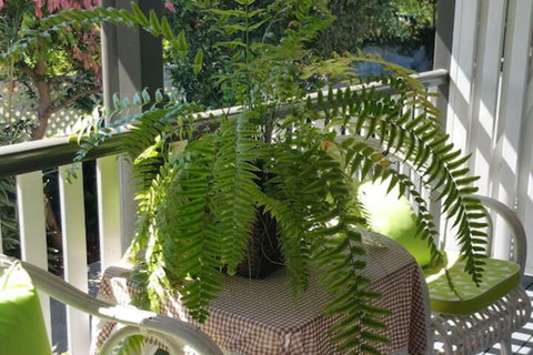 Elindale House Bed & Breakfast - Tourism Adelaide 4