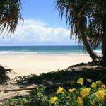 Ozone Shores - Tourism Adelaide 0