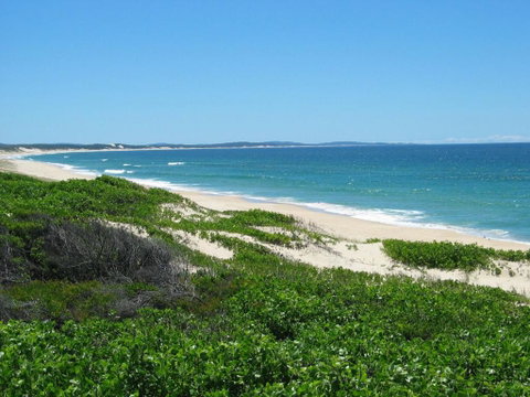 One Street From Main Beach - Tourism Adelaide 2