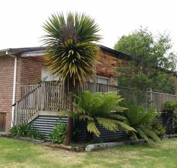 Strahan Holidays - Tourism Adelaide 4
