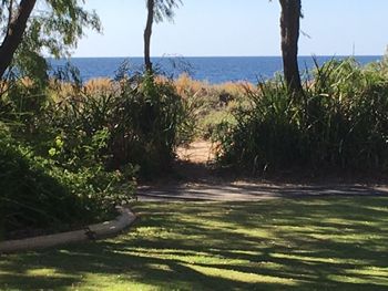On The Shores Of Geographe Bay - Tourism Adelaide 5