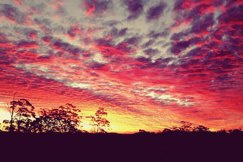 The Spotted Chook - Tourism Adelaide 1