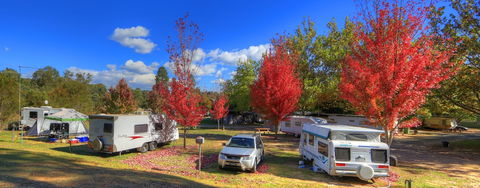 Beechworth Lake Sambell Caravan Park - Tourism Adelaide 0