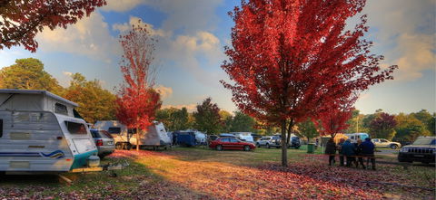 Beechworth Lake Sambell Caravan Park - Tourism Adelaide 3