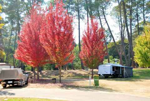 Beechworth Lake Sambell Caravan Park - Tourism Adelaide 1