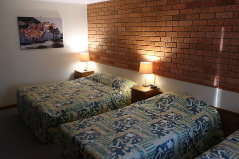 Newell Motor Inn - Narrandera - Tourism Adelaide 6