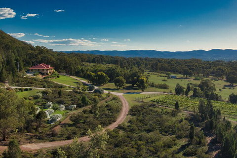 The Mudgee Homestead Guesthouse - Tourism Adelaide 3