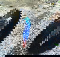 Licuala Lodge - Tourism Adelaide