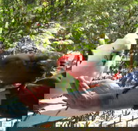 Lorne Bush House Cottages  Eco Retreats - Tourism Adelaide