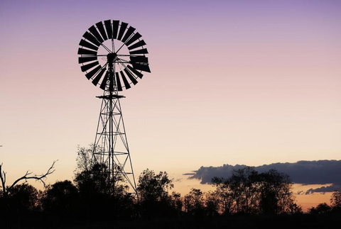 Roma Inland Motor Inn - Tourism Adelaide 1