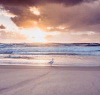 Blue Waters Motel - Tourism Adelaide