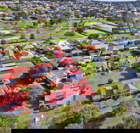 Pelicans Albany - Tourism Adelaide