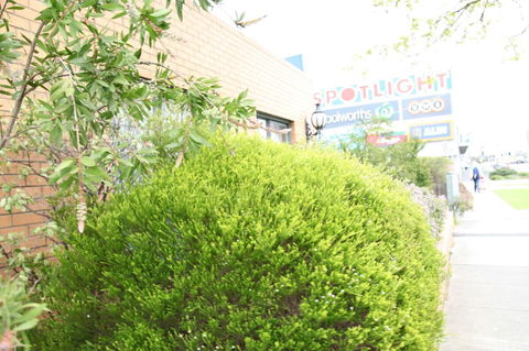Carnegie Motor Inn - Tourism Adelaide 0