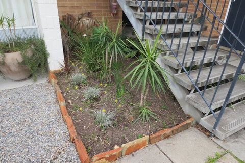 Norfolk Motor Inn - Tourism Adelaide 7