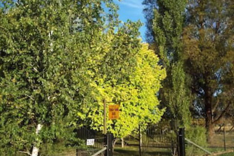 Ophir Gold Bed & Breakfast - Tourism Adelaide 2