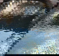 Town  Country Motel - Tourism Adelaide