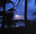 Sejala Beach Huts - Tourism Adelaide