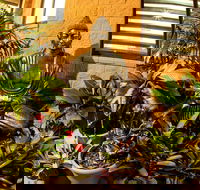 Pialba Motor Inn - Tourism Adelaide