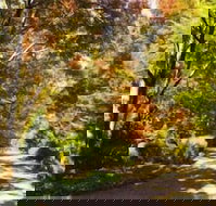 Chalets Lumineux - Tourism Adelaide