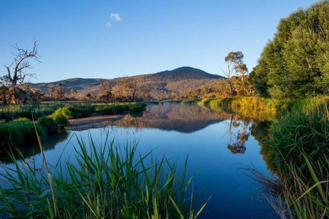 Snowy River Cabins - Tourism Adelaide 3