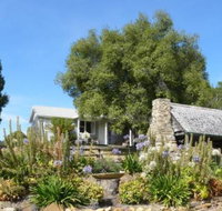 Sassafras Springs - Tourism Adelaide